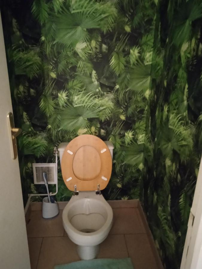 Agreable Maison Entre Zoo Et Chateaux Le Controis-en-Sologne Dış mekan fotoğraf